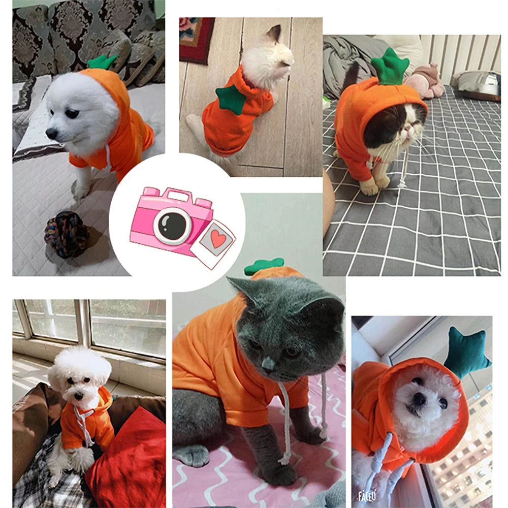 Cute Fruit Fleece Hoodie for Small Dogs