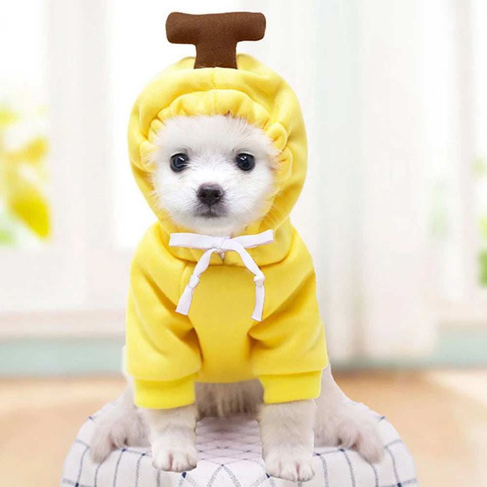 Cute Fruit Fleece Hoodie for Small Dogs
