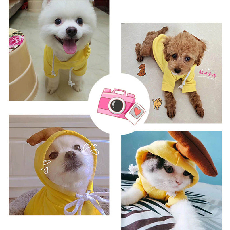 Cute Fruit Fleece Hoodie for Small Dogs